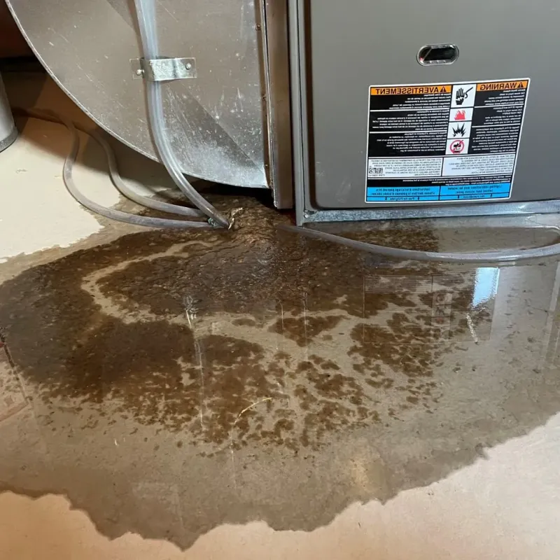 Pipe Burst and Leak Restoration in Sugarcreek Police Dept, OH
